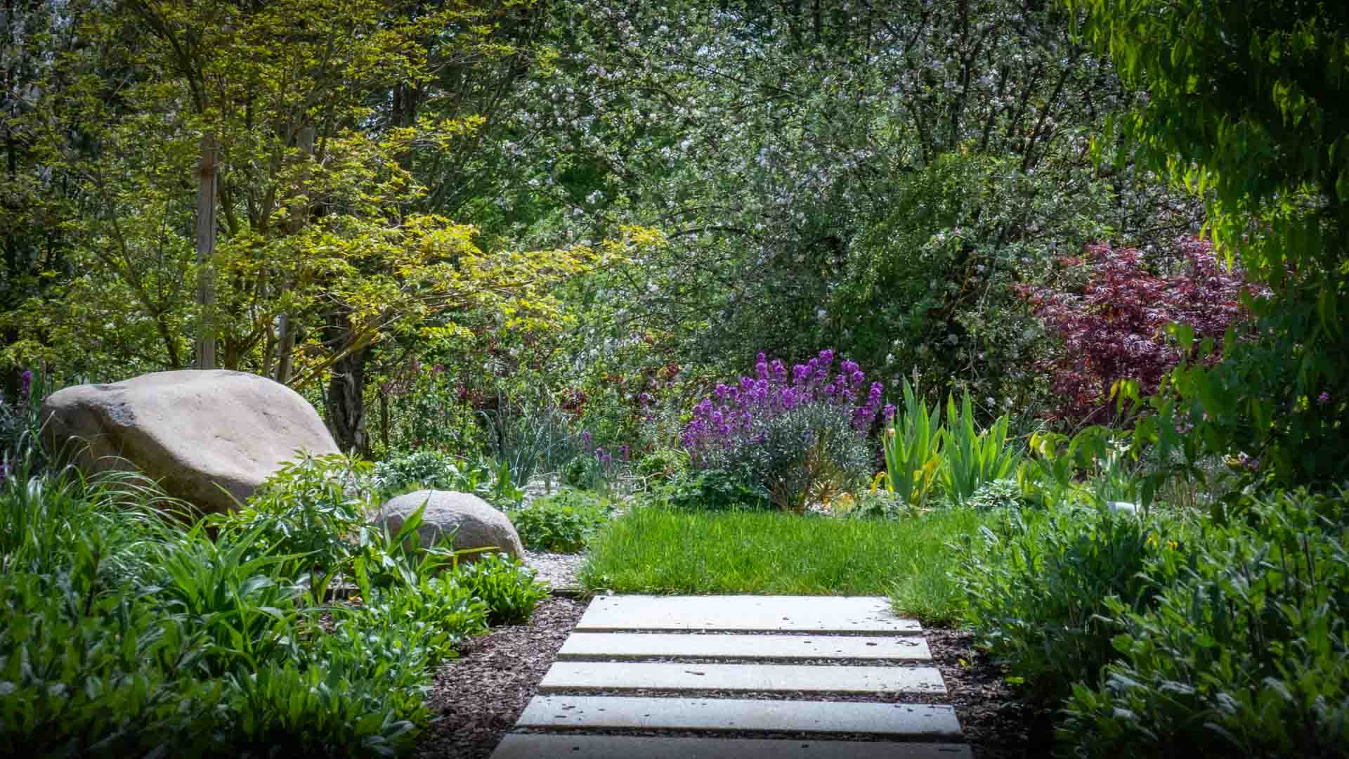 Stimmiger Garten mit Trittplatten, Findlingen und lebendiger Bepflanzung